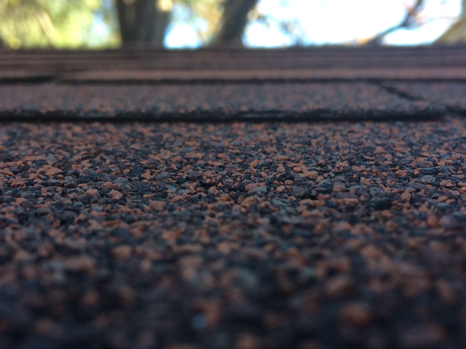 Close-up of asphalt shingle granules on a residential roof